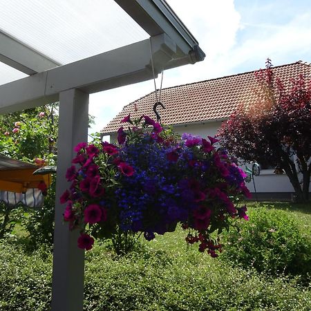 Ferienwohnung Relax Ilsenburg Esterno foto