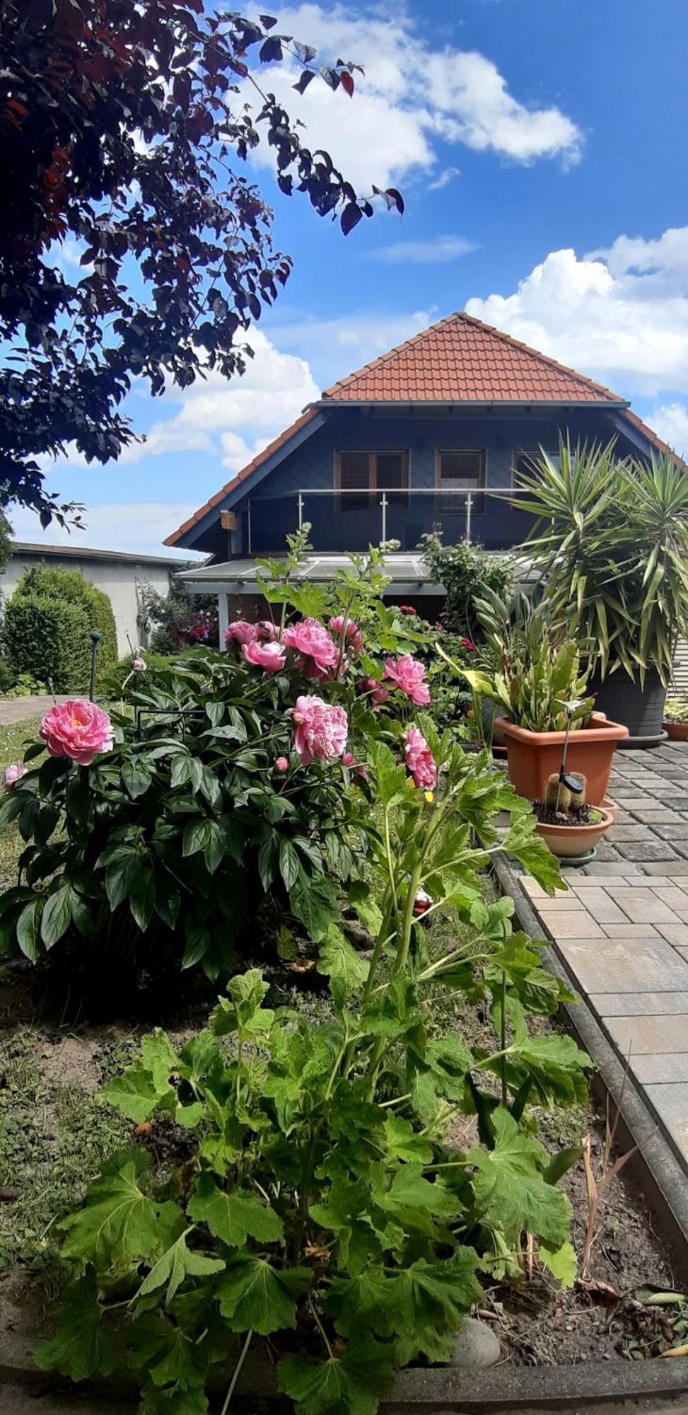 Ferienwohnung Relax Ilsenburg Esterno foto
